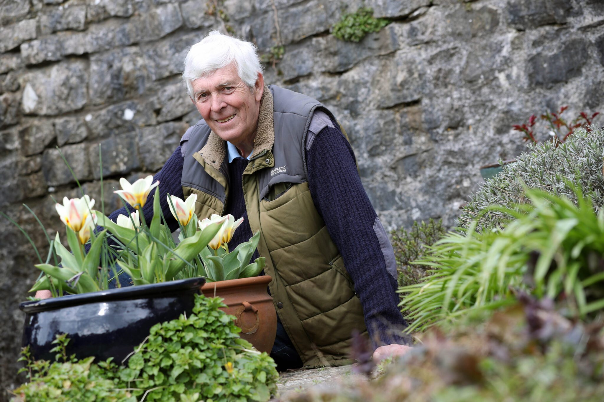 d-r-cymru-welsh-water-pestsmart-working-word